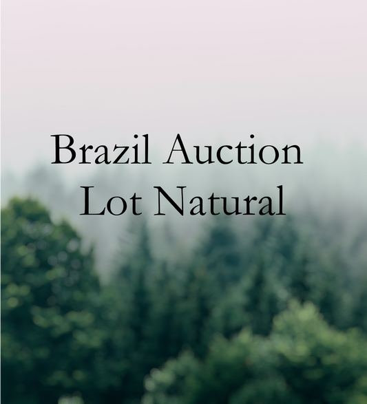 Brazil Auction Lot Natural