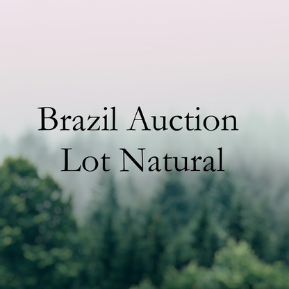 Brazil Auction Lot Pulped Natural