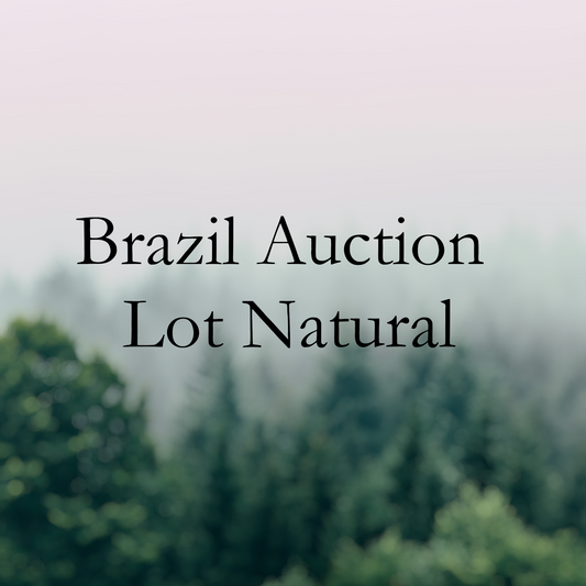 Brazil Auction Lot Natural