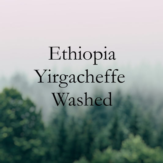 Ethiopia Yirgacheffe Washed