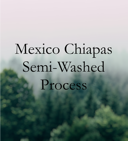 Mexico Chiapas Semi-Washed