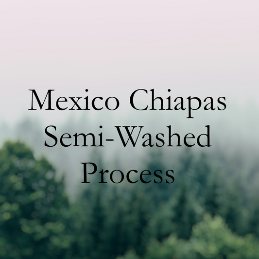 Mexico Chiapas Semi-Washed