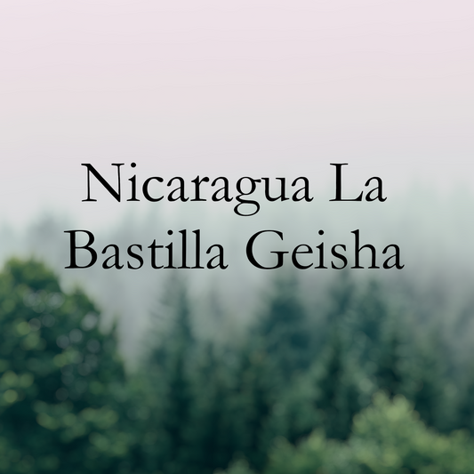 Nicaragua La Bastilla Geisha