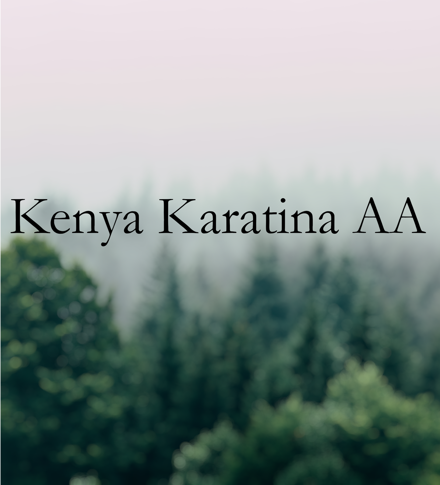 Kenya Karatina AA