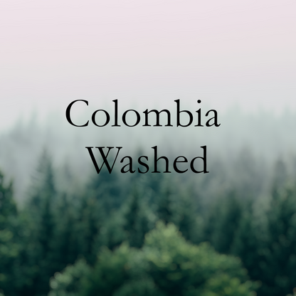 Colombia Washed