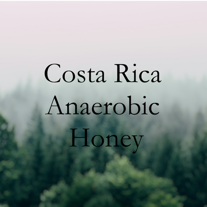 Costa Rica Anaerobic Honey